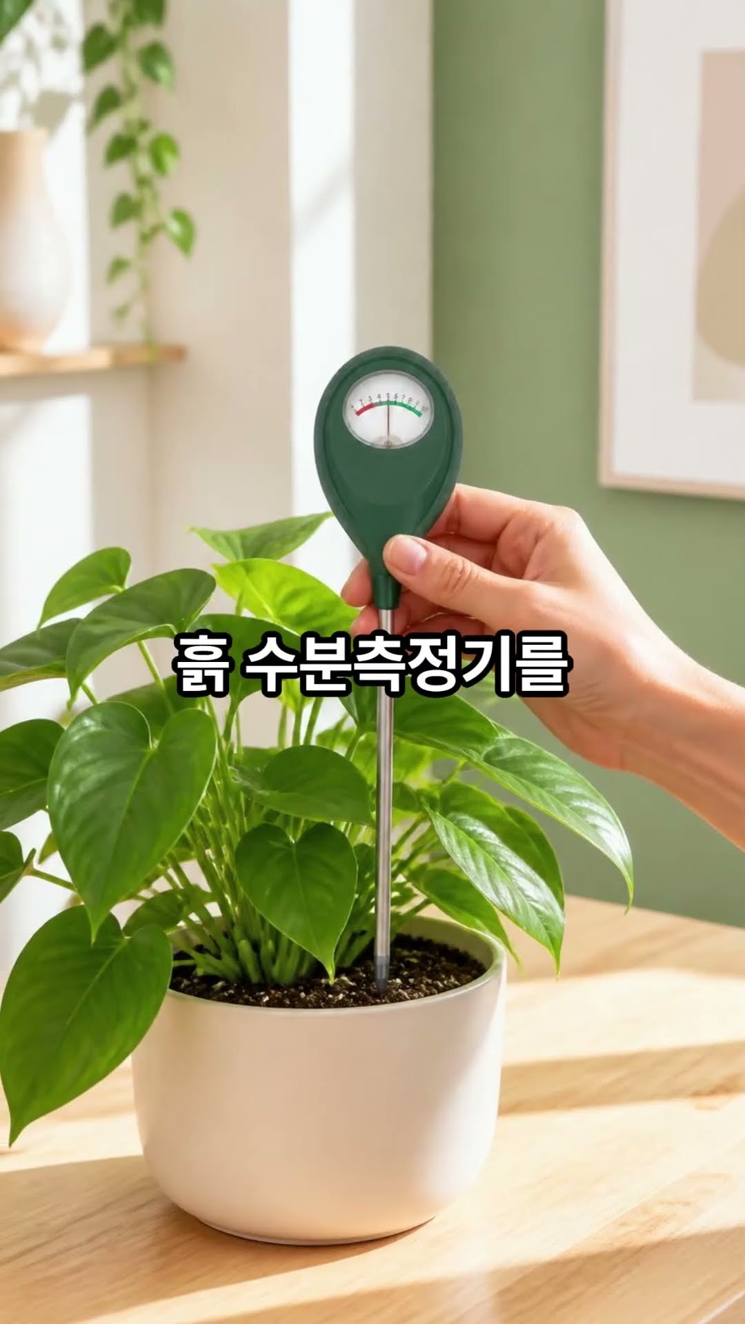 식물 수분측정기 소개 영상